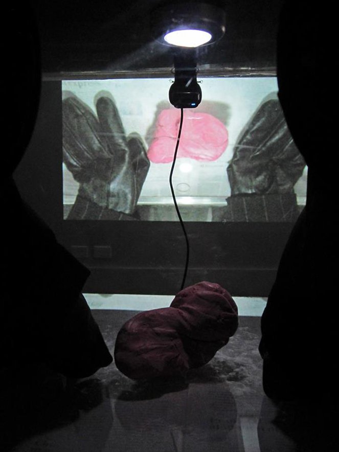 Quarantine Manipulator (2024) interactive installation by Lauren Edmonds