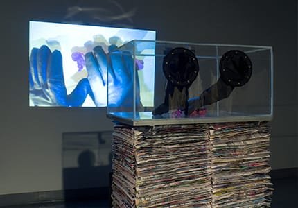 Quarantine Manipulator (2024) interactive installation by Lauren Edmonds